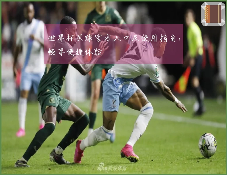 世界杯买球官方入口及使用指南，畅享便捷体验