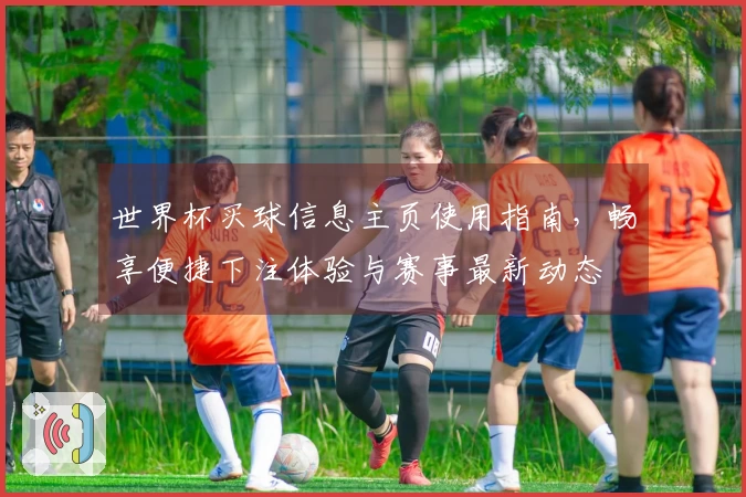 世界杯买球信息主页使用指南，畅享便捷下注体验与赛事最新动态