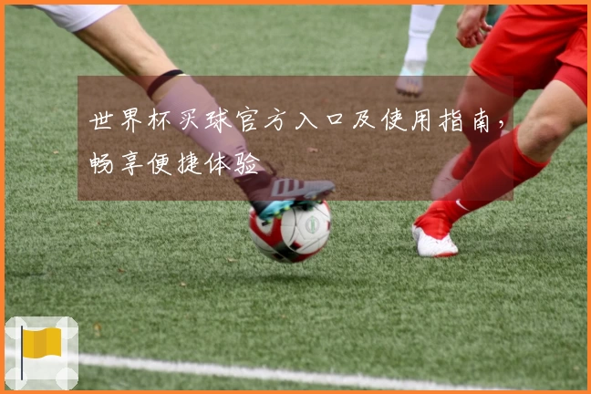 世界杯买球官方入口及使用指南，畅享便捷体验