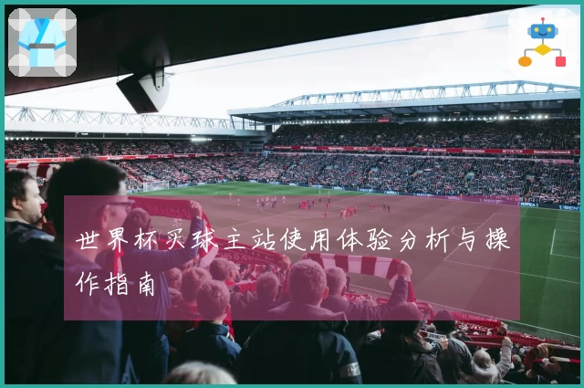 世界杯买球主站使用体验分析与操作指南